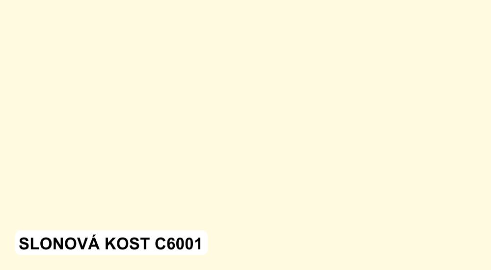 10_C6001_slon_kost.jpg